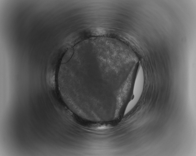 X0000093480267200711091632