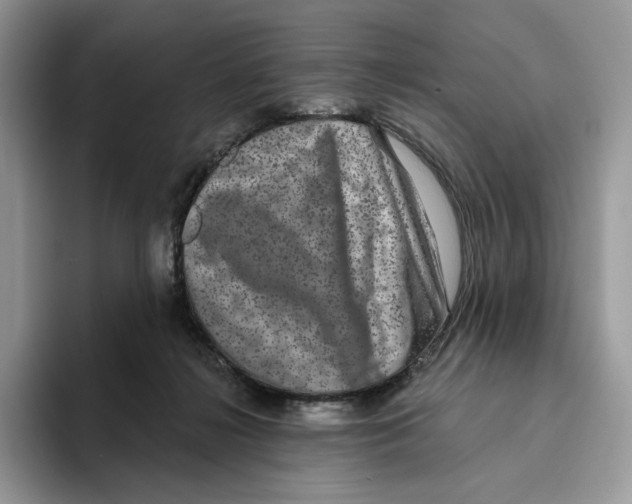 X0000093480268200711091632