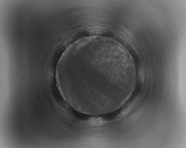 X0000093480271200711091632