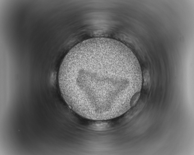 X0000093480278200711091632