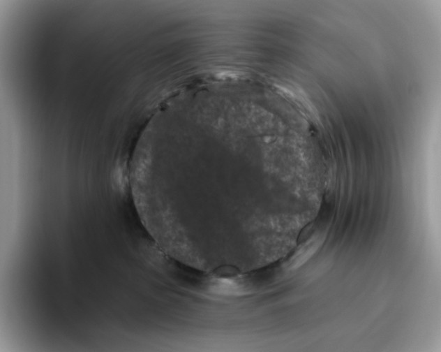 X0000093480285200711091632