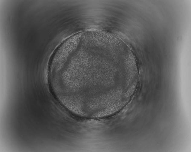 X0000093480290200711091631