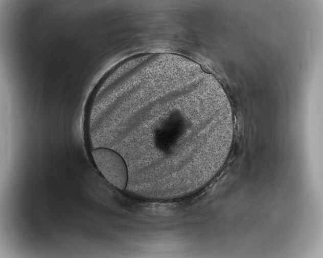 X0000093480292200711091631