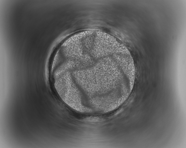 X0000093480294200711091631