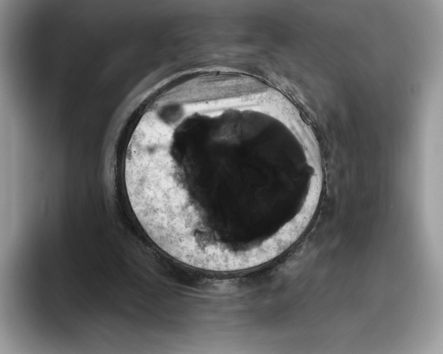 X0000093480295200711091631