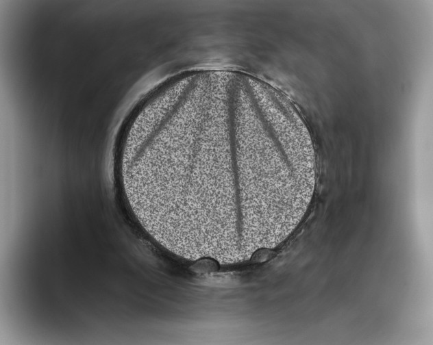 X0000093480296200711091631
