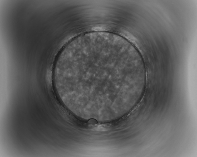 X0000093480297200711091631