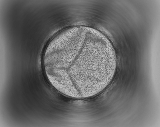 X0000093480298200711091631