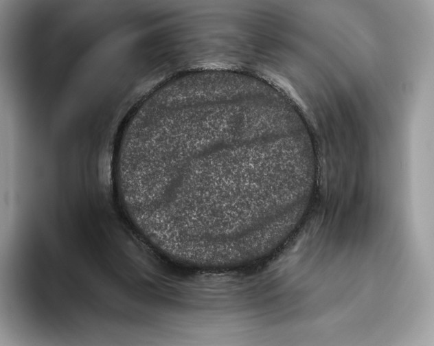 X0000093480299200711091631