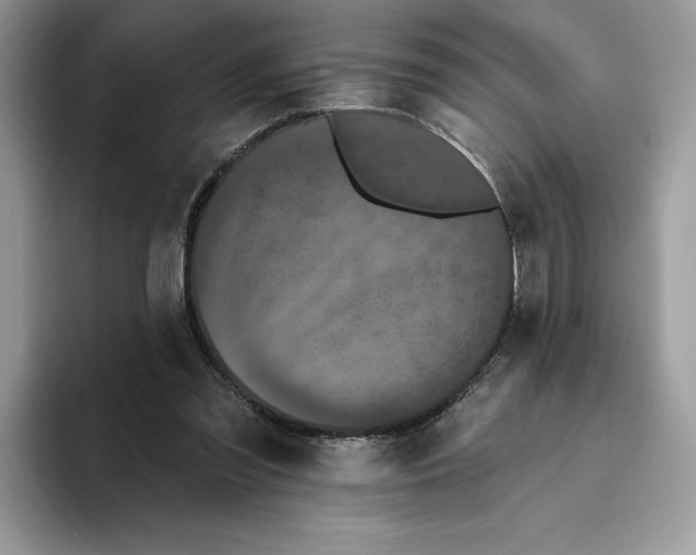 X0000093480301200711091631