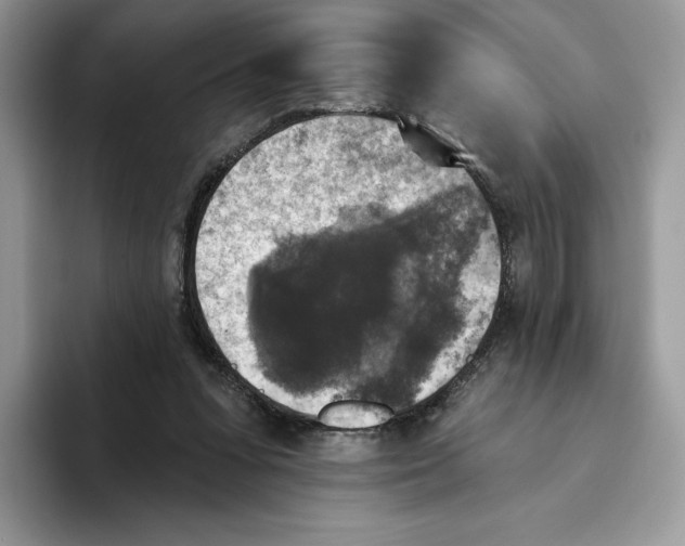 X0000093480303200711091631