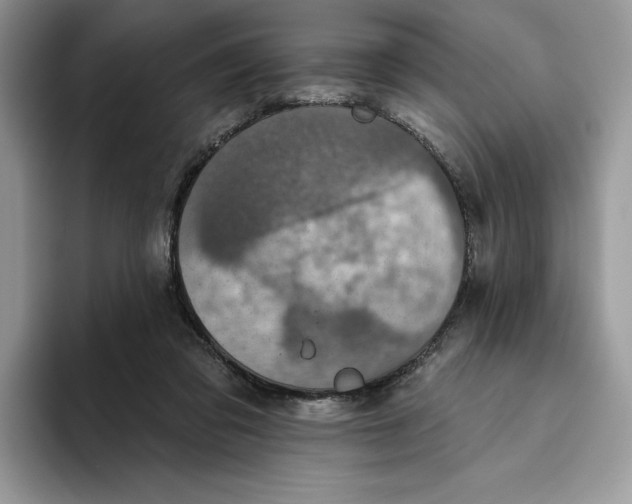X0000093480309200711091631