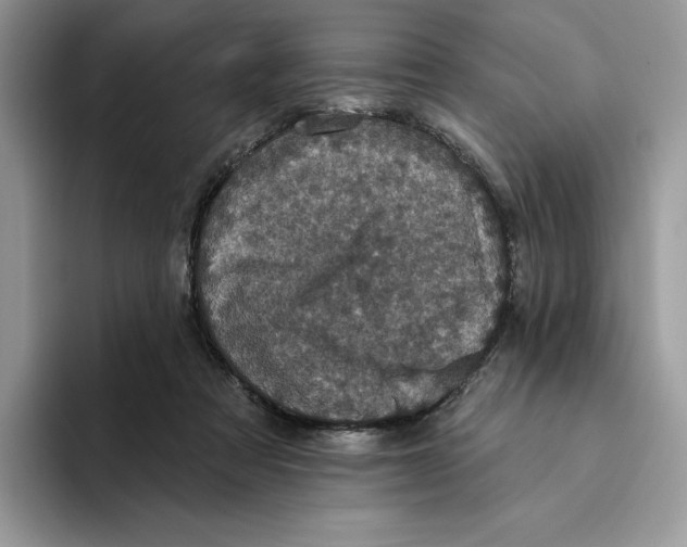 X0000093480313200711091631