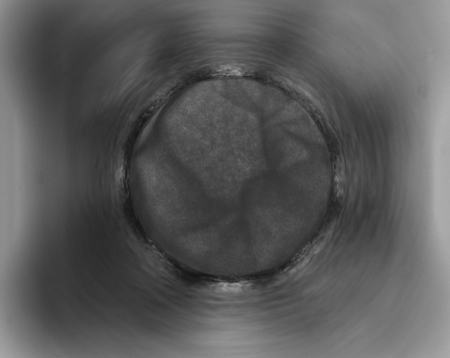 X0000093480314200711091631