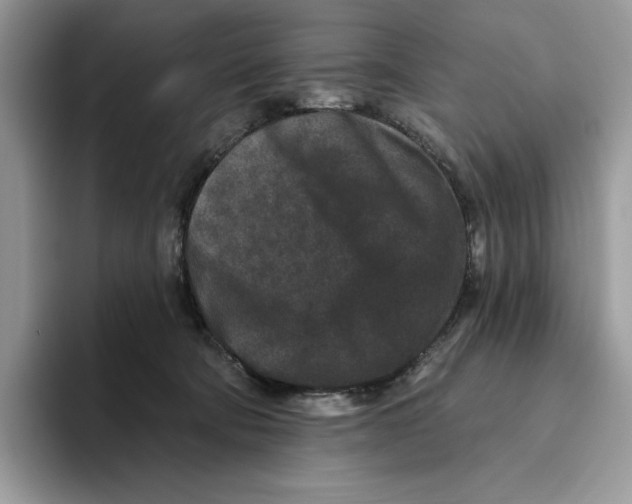X0000093480322200711091631