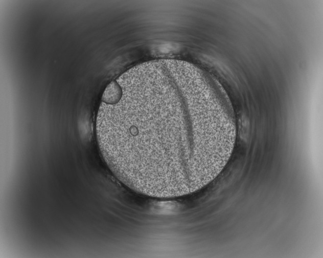 X0000093480324200711091631