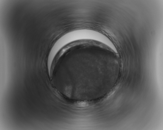X0000093480325200711091631