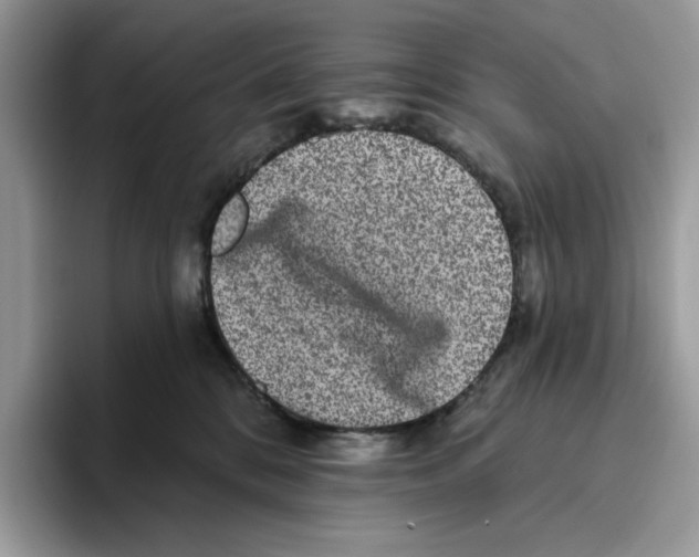 X0000093480328200711091631
