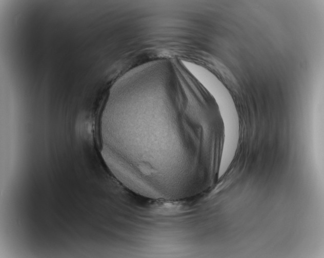 X0000093480329200711091631