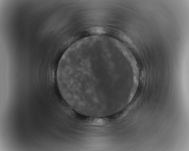 X0000093480330200711091631