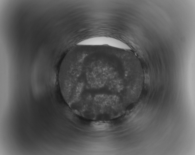 X0000093480331200711091631