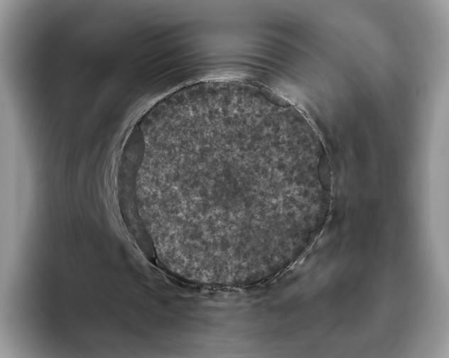 X0000093480337200711091630
