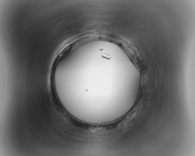 X0000093480340200711091630