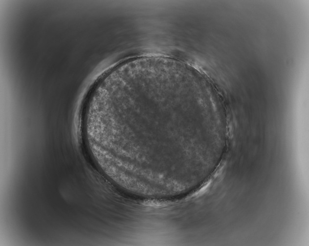 X0000093480343200711091630