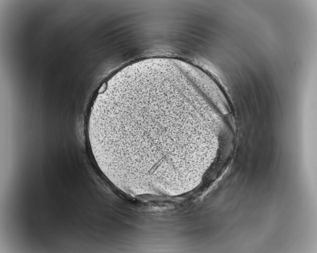 X0000093480345200711091630