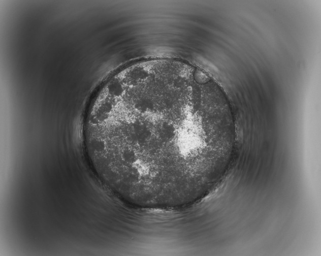 X0000093480347200711091630