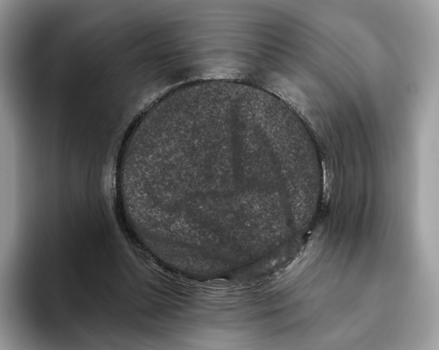 X0000093480348200711091630