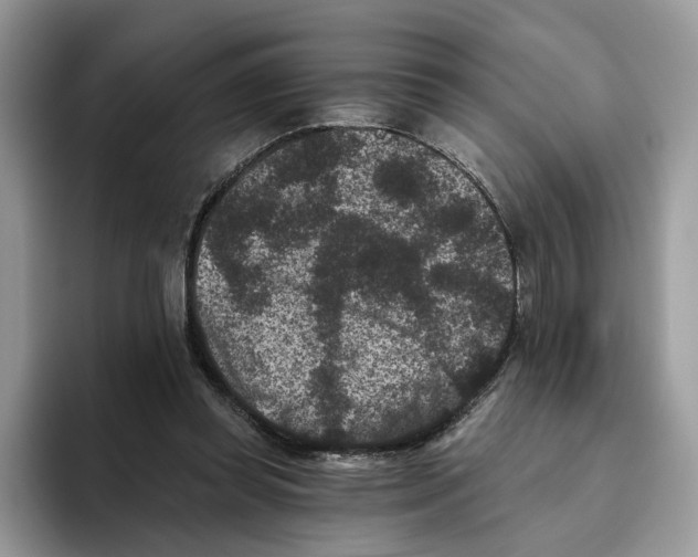 X0000093480349200711091630