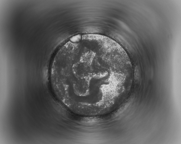 X0000093480351200711091630