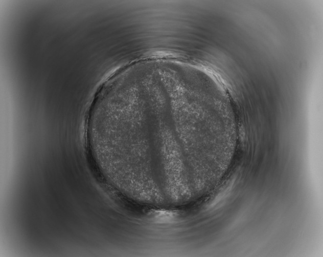 X0000093480352200711091630