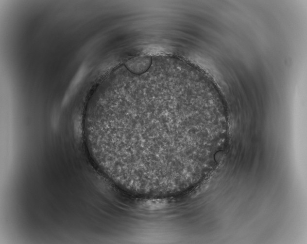 X0000093480353200711091630