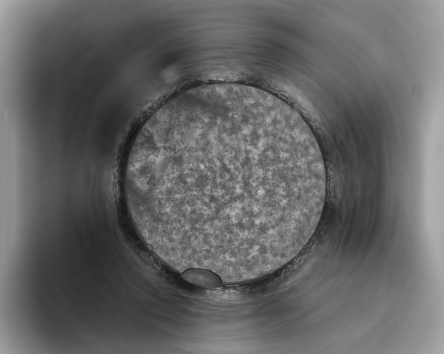 X0000093480354200711091630