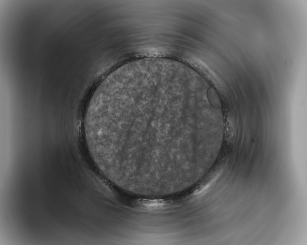 X0000093480355200711091630