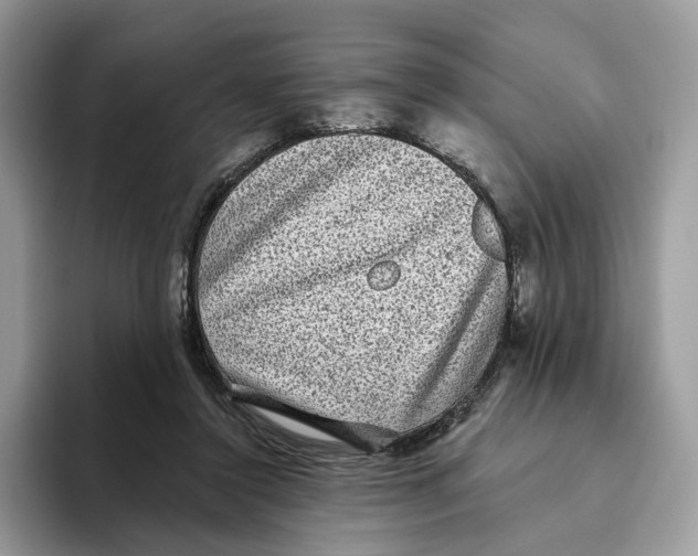 X0000093480356200711091630