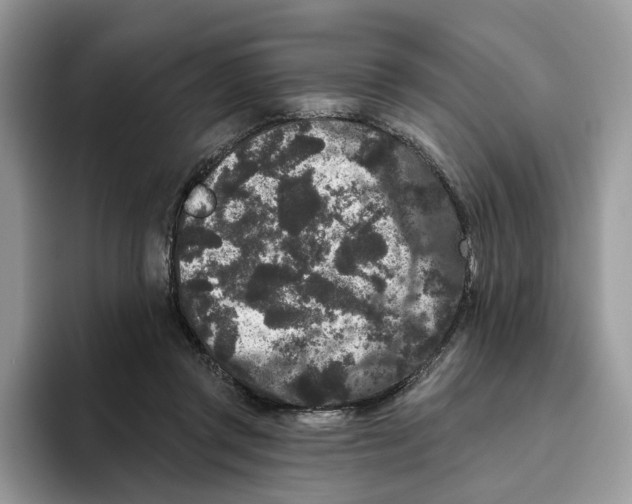 X0000093480357200711091630