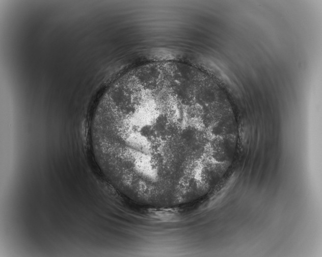 X0000093480359200711091630