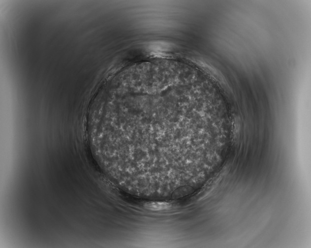 X0000093480361200711091630