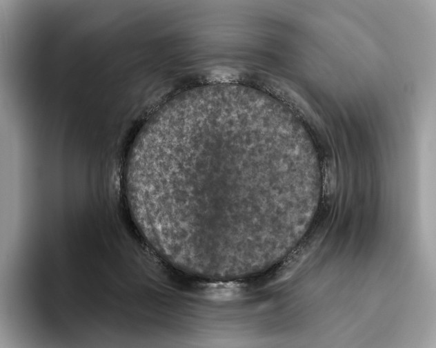 X0000093480363200711091630