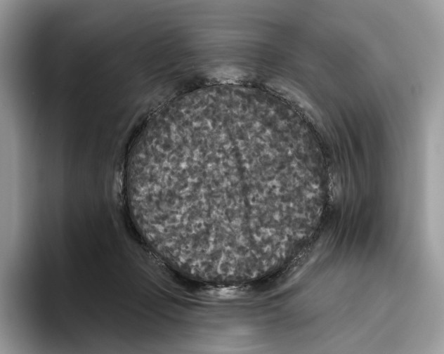 X0000093480365200711091630