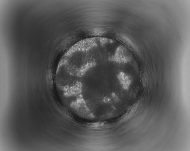 X0000093480366200711091630