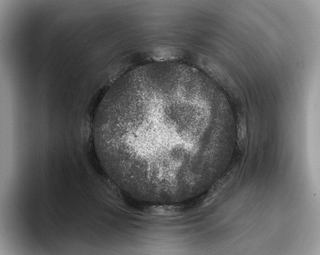 X0000093480367200711091630
