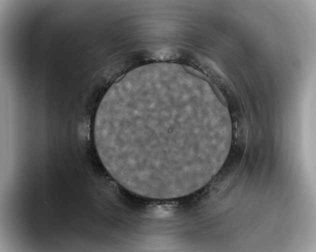 X0000093480368200711091630