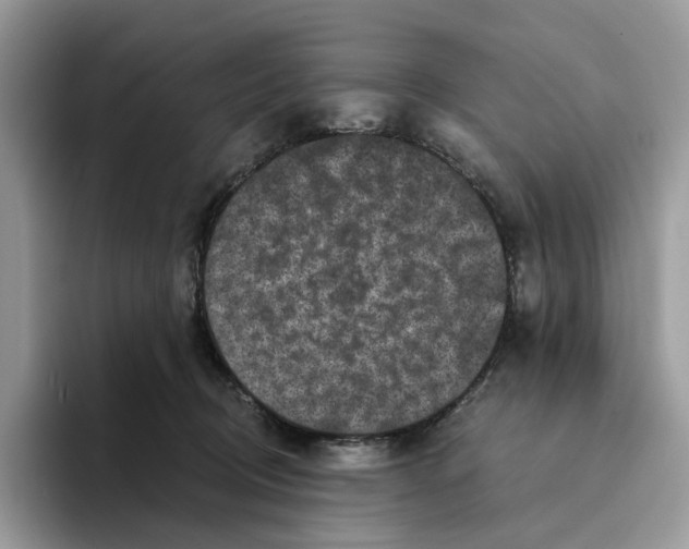 X0000093480370200711091631