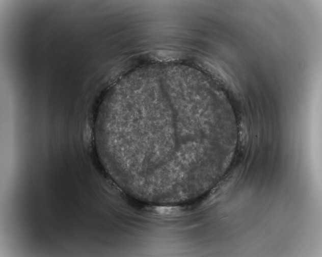 X0000093480371200711091631