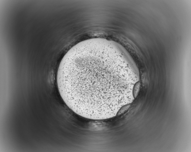 X0000093480372200711091631