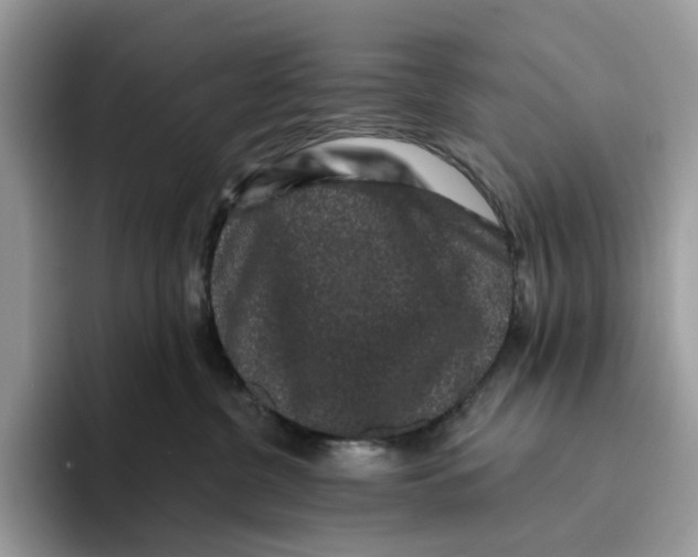 X0000093480380200711091631